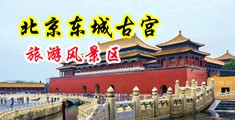 男生鸡巴操女生小穴视频中国北京-东城古宫旅游风景区